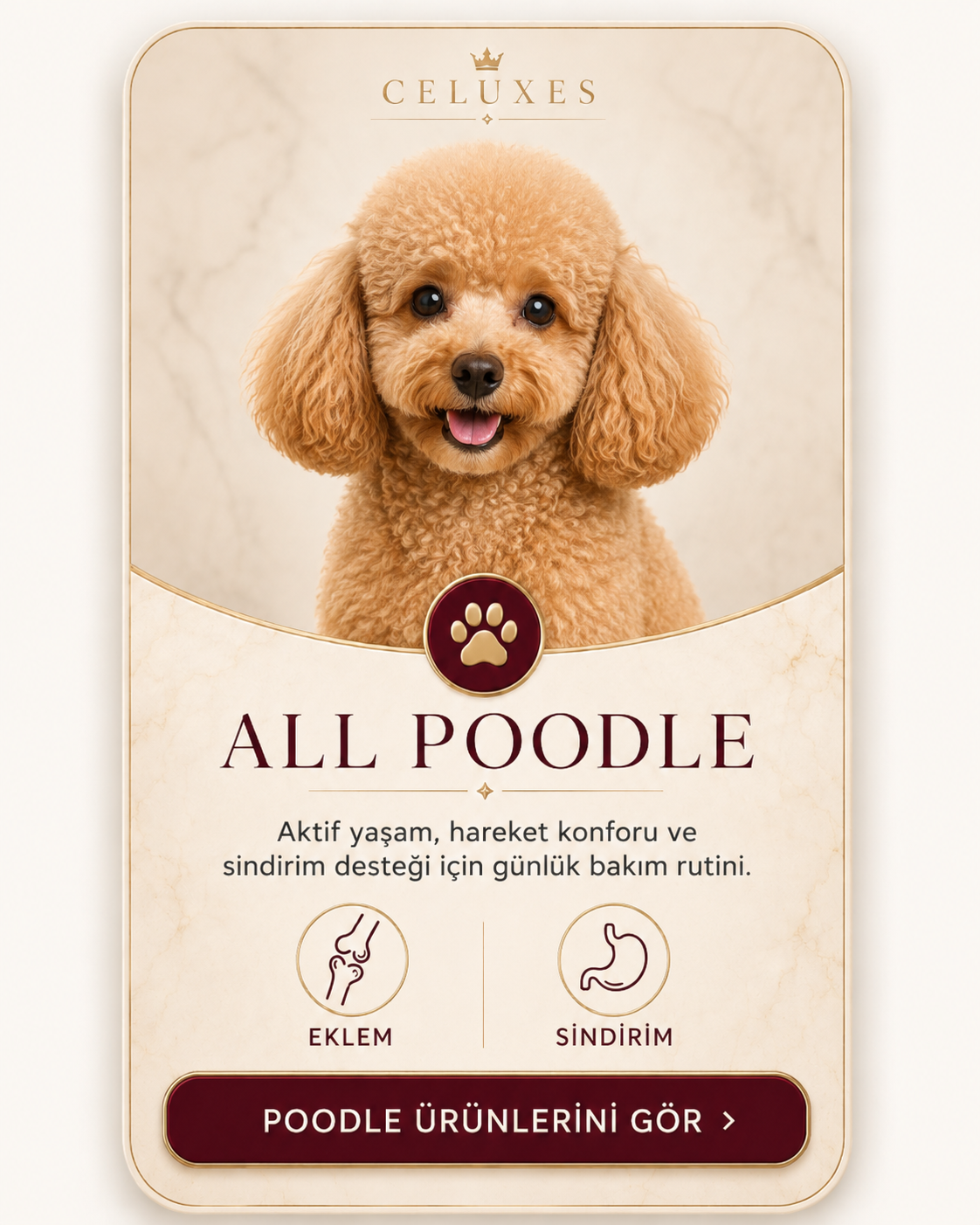 All Poodle ürünleri