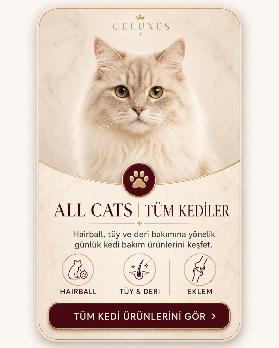 All Cats tüm kediler için ürünler
