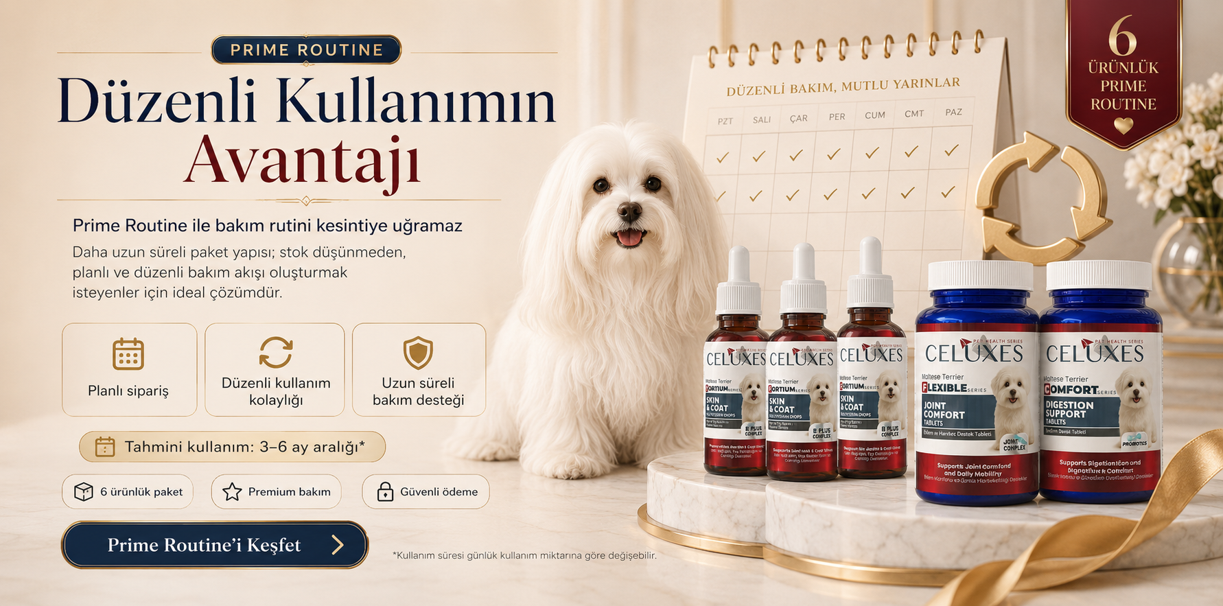 Maltese Terrier Prime Routine 3 Temel Destek
