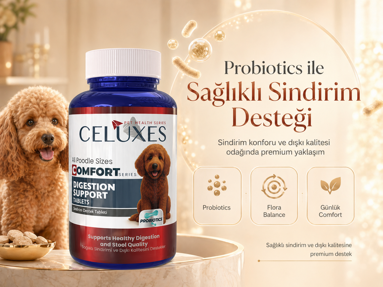 Poodle Günlük Comfort Rutini
