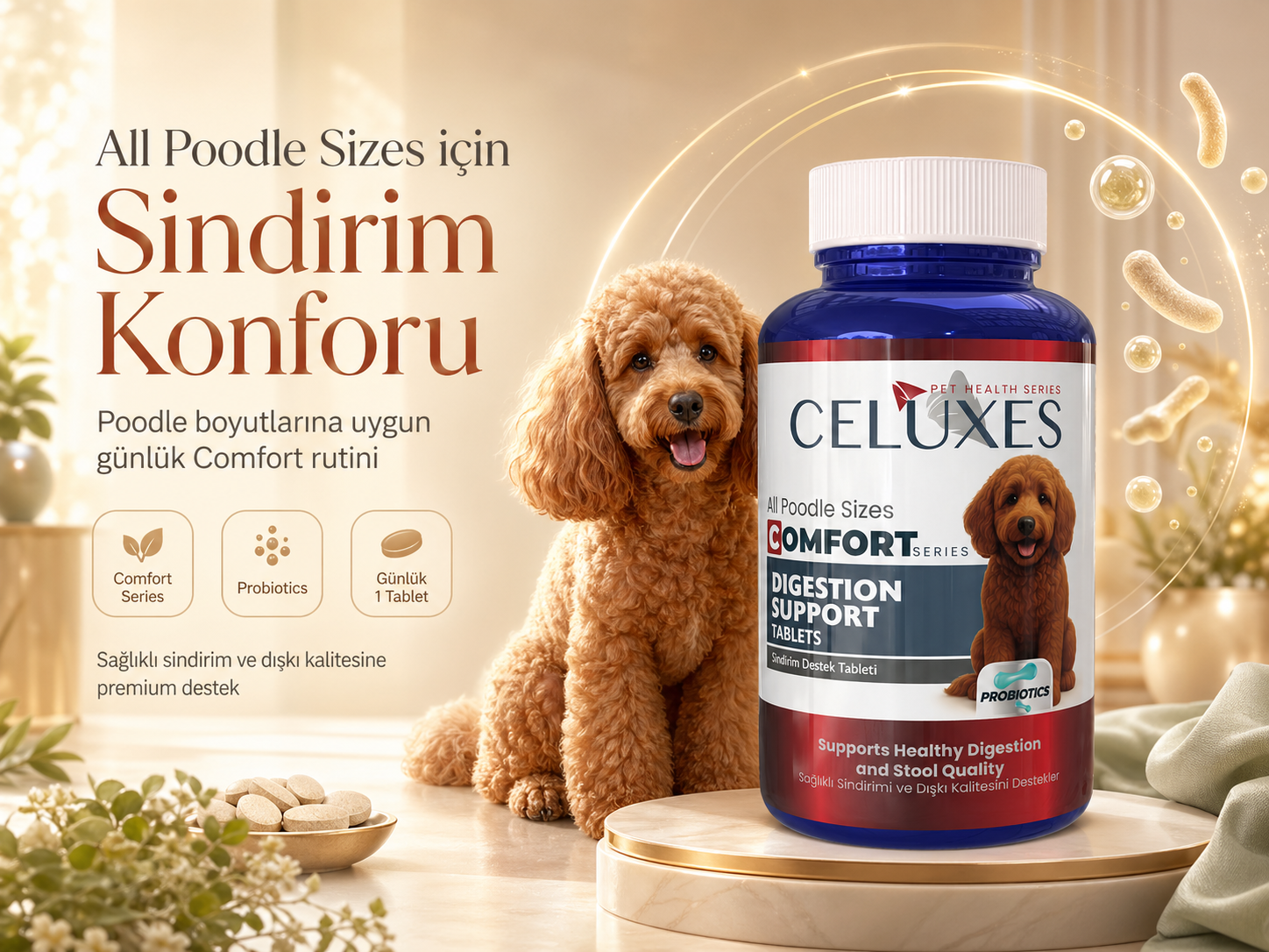 All Poodle Sizes Comfort Tablet