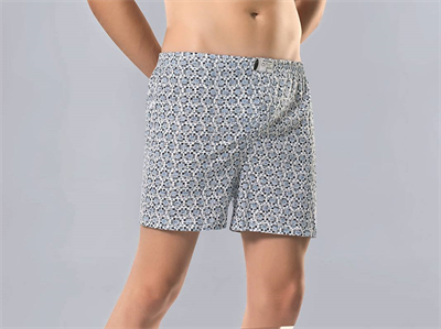 Anıt 1119 Erkek Penye Boxer