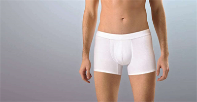 Anıt 1250 Modal Erkek Boxer