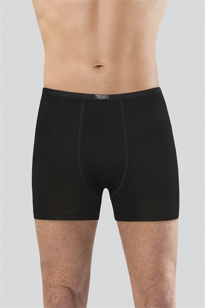 Anıt 1273 Bambu Boxer
