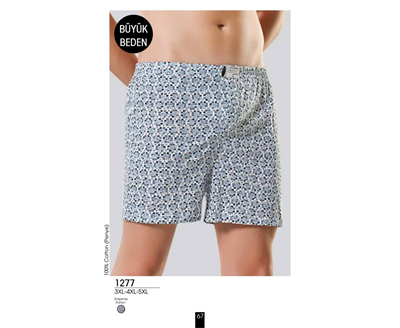 Anıt 1277 Battal Penye Boxer