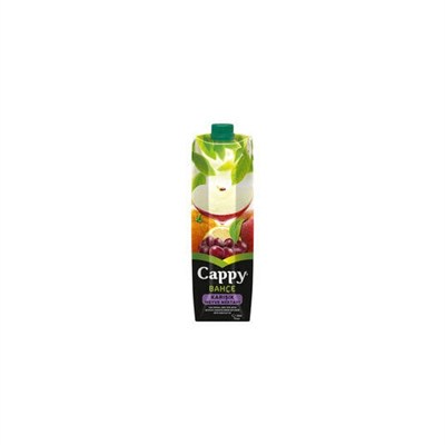 CAPPY KARIŞIK MEYVE SUYU 1 LT