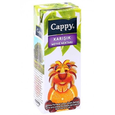 CAPPY KARIŞIK MEYVE SUYU 200 ML