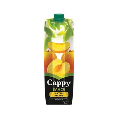 CAPPY KAYISI MEYVE SUYU 1 LT