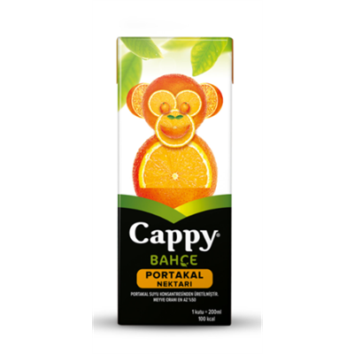 CAPPY PORTAKAL SUYU 200 ML