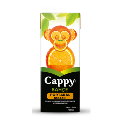 CAPPY PORTAKAL SUYU 200 ML