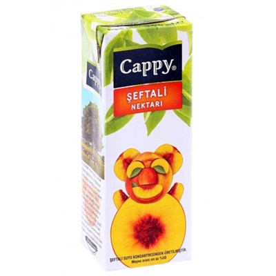 CAPPY ŞEFTALİ SUYU 200 ML