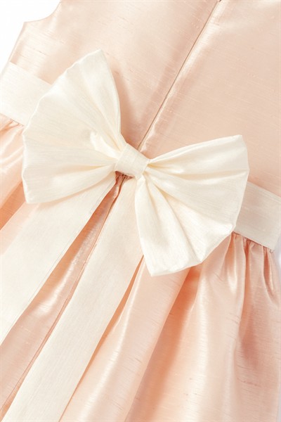 Champagne Glow Elbise