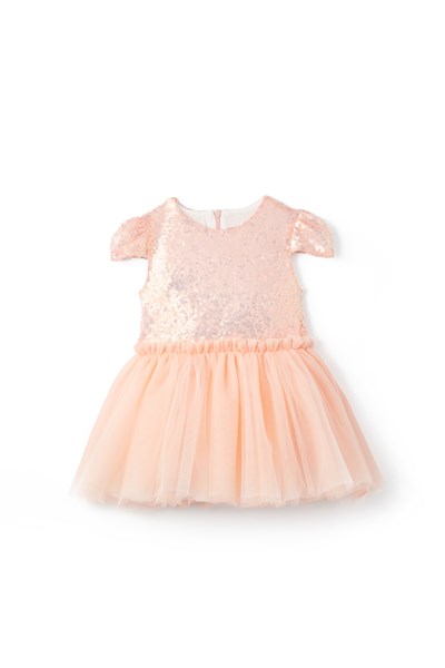 Crystal Dream Champagne Elbise