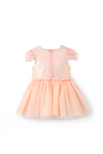 Crystal Dream Champagne Elbise