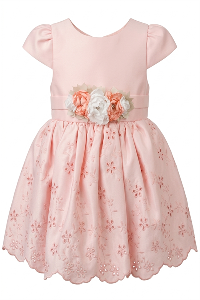 Blush Broderie Elbise