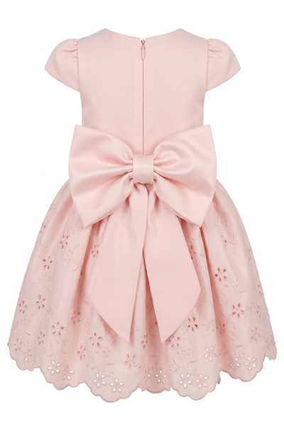 Blush Broderie Elbise