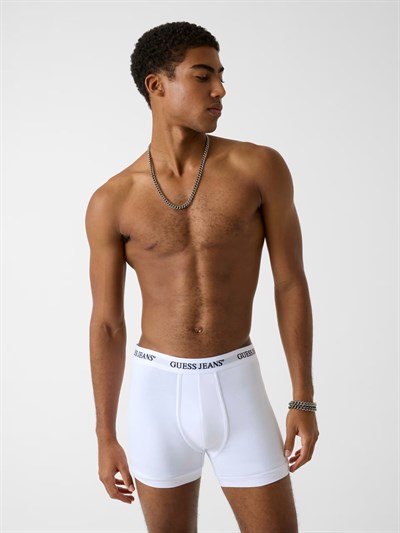 GUESS GJ 3 PACK BOXER BRIE ERKEK 3LÜ BOXER SET M4BZ45K6YW1