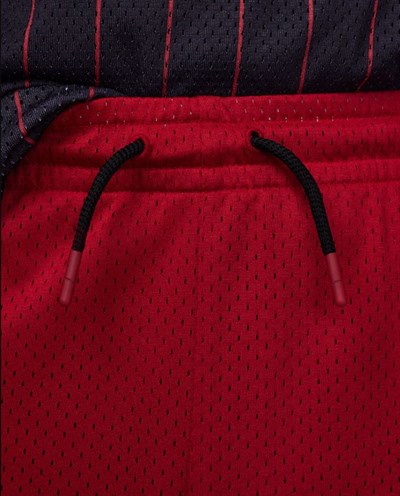 NIKE JORDAN MESH PE SHORT ERKEK ÇOCUK ŞORT 95D153