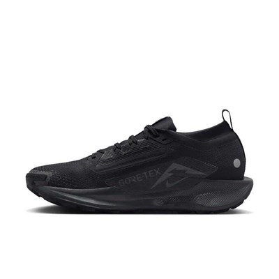 NIKE PEGASUS TRAIL 5 GTX ERKEK SPOR AYAKKABI FQ0908