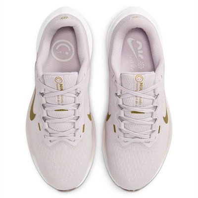 NIKE W AIR WINFLO 10 KADIN SPOR AYAKKABI DV4023