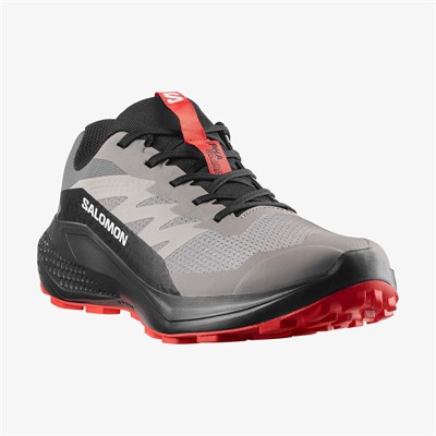 SALOMON ALPHAGLIDE ERKEK OUTDOOR AYAKKABI L48000800