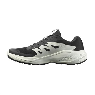 SALOMON ALPHAGLIDE ERKEK OUTDOOR AYAKKABI L47801000