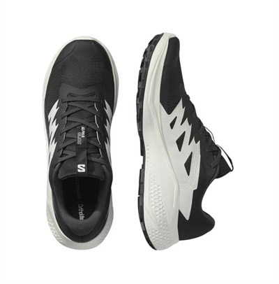 SALOMON ALPHAGLIDE ERKEK OUTDOOR AYAKKABI L47801000