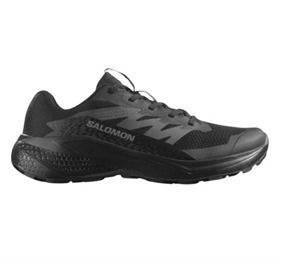 SALOMON ALPHAGLIDE ERKEK OUTDOOR AYAKKABI L47948300