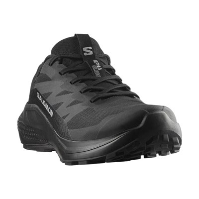 SALOMON ALPHAGLIDE GORE-TEX ERKEK OUTDOOR AYAKKABI L47802100