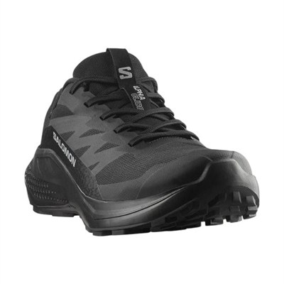 SALOMON ALPHAGLIDE GORE-TEX ERKEK OUTDOOR AYAKKABI L47802100