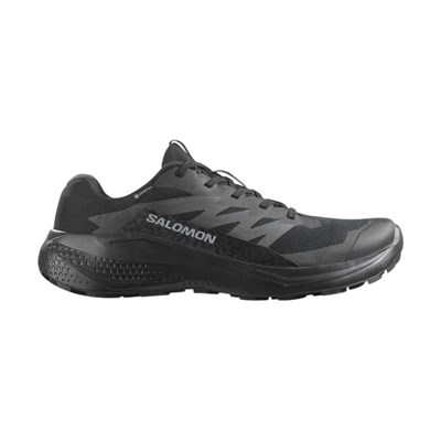 SALOMON ALPHAGLIDE GORE-TEX ERKEK OUTDOOR AYAKKABI L47802100