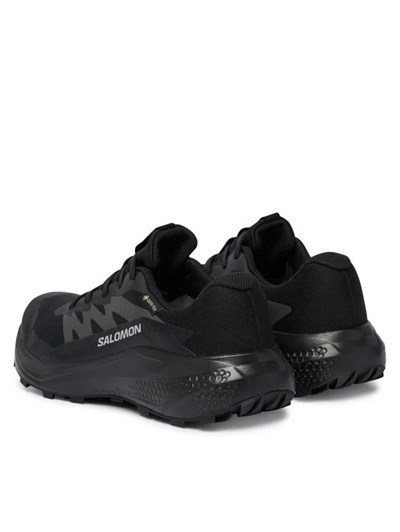 SALOMON ALPHAGLIDE GTX W KADIN OUTDOOR SPOR AYAKKABI L49214400