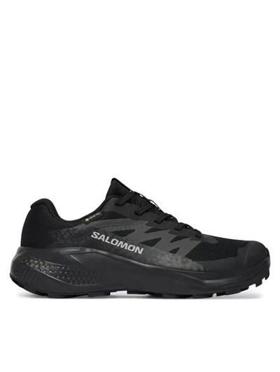 SALOMON ALPHAGLIDE GTX W KADIN OUTDOOR SPOR AYAKKABI L49214400