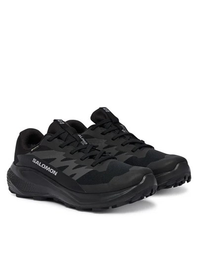 SALOMON ALPHAGLIDE GTX W KADIN OUTDOOR SPOR AYAKKABI L49214400