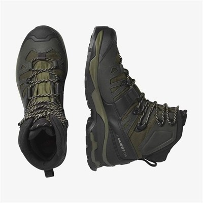 SALOMON QUEST 4 GORE-TEX ERKEK BOT L41292500