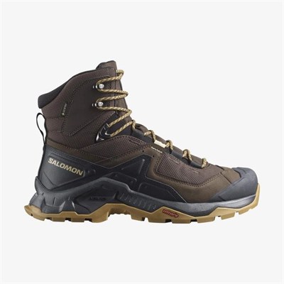 SALOMON QUEST ELEMENT GORE-TEX ERKEK BOT L47216100