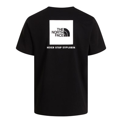 THE NORTH FACE M EVOLUTION BOX NSE REGULAR SS ERKEK TİŞÖRT NF0A8B6KKY41