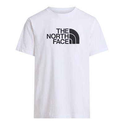THE NORTH FACE M EVOLUTION HALF DOME REGULAR SS ERKEK TİŞÖRT NF0A8B6JLA91