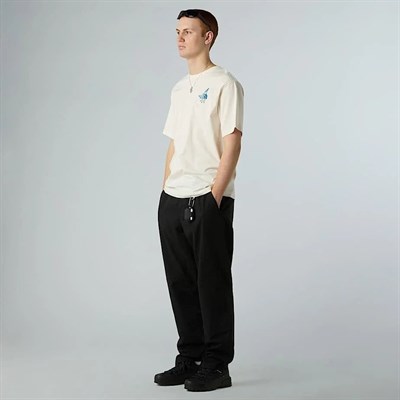 THE NORTH FACE U POWDER DAYS RELAXED S/S TEE-GRAPHIC ERKEK TİŞÖRT NF0A8E4DQLI1