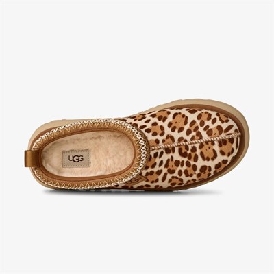 UGG TAZZ PLAINS KADIN TERLİK 1177890