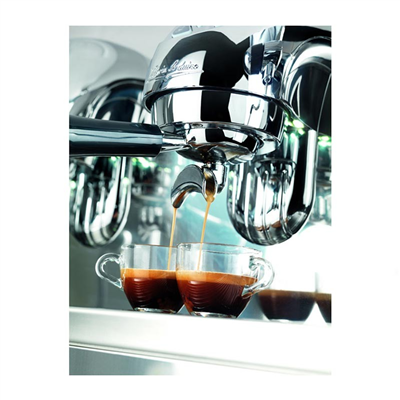 Victoria Arduino Adonis Style Espresso Kahve Makinesi, 2 Gruplu, Metalik
