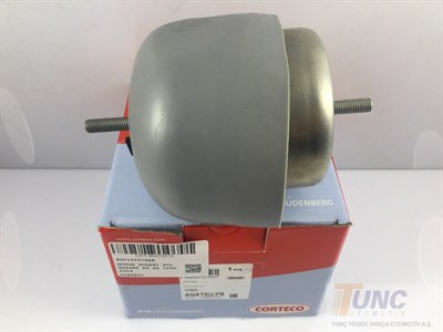 Motor Kulağı