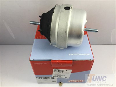 Motor Kulağı