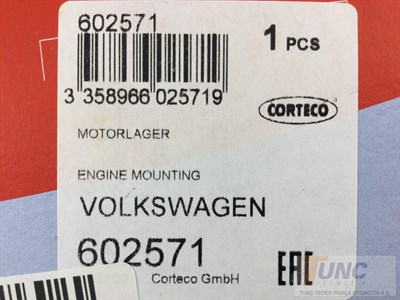 Motor Kulağı