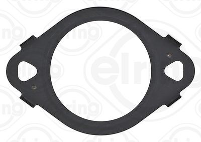 EGR Contası