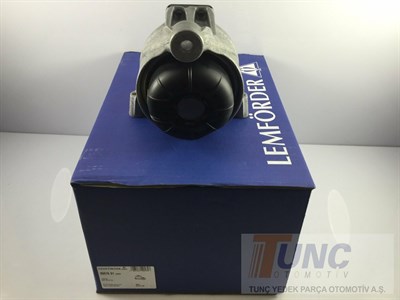 Motor Kulağı