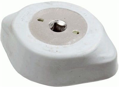 Şanzıman Kulağı