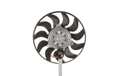 Fan Motoru