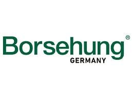 Borsehung