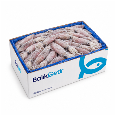 Naturel (Kirli) Kalamar U3